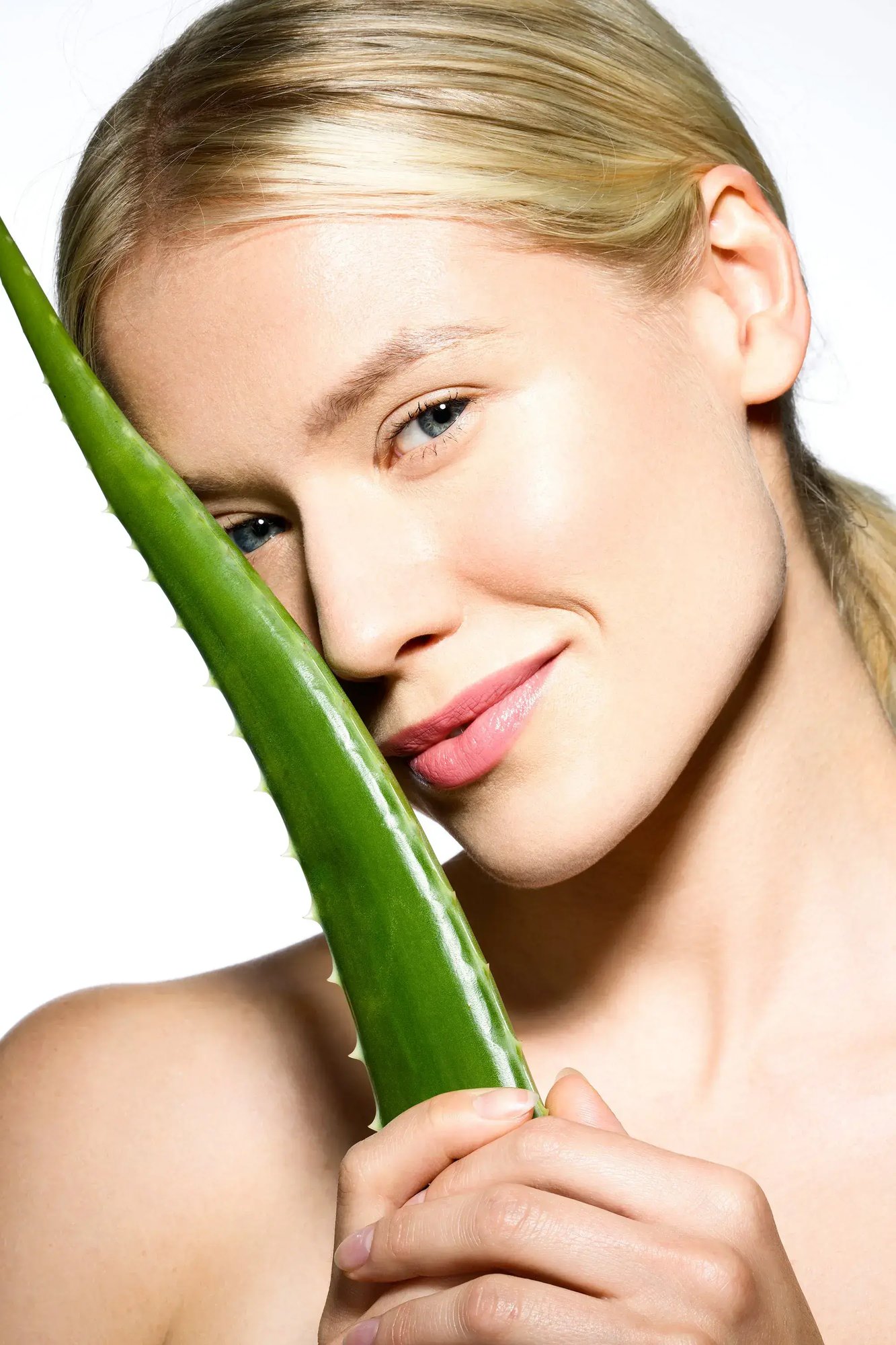 aloe-vera-for-skin (1)