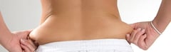 What are Love Handles?