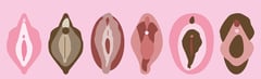 What Vaginal Changes Can a Person Expect After Giving Birth?