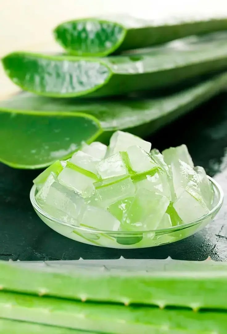 what-is-aloe-vera (1)